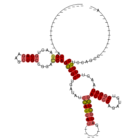 secondary structure