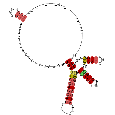 secondary structure
