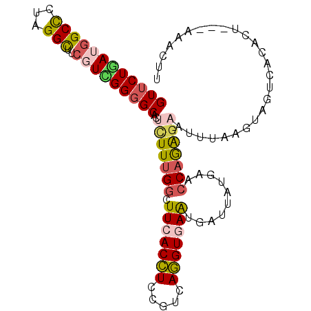 secondary structure