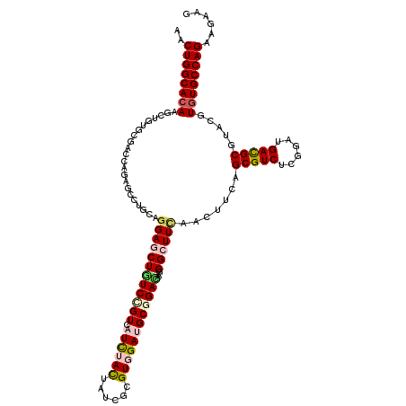 secondary structure