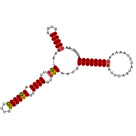 secondary structure
