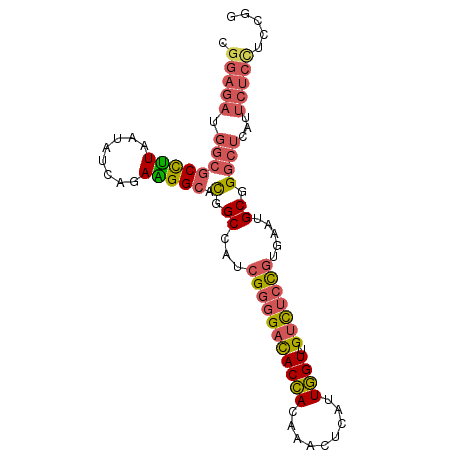 secondary structure