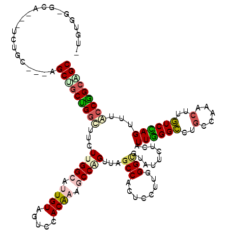 secondary structure