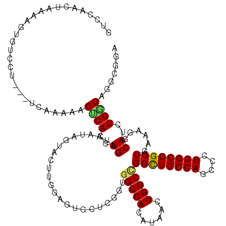 secondary structure