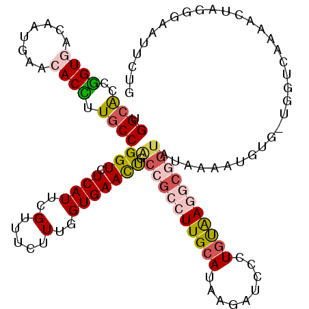 secondary structure