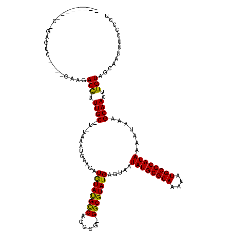 secondary structure