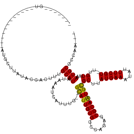 secondary structure