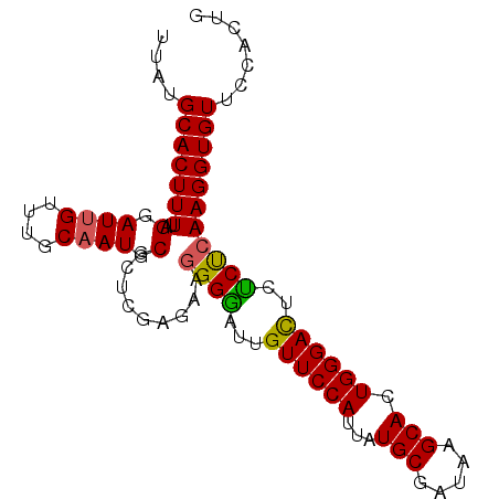 secondary structure
