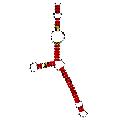 secondary structure