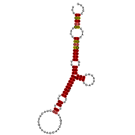 secondary structure