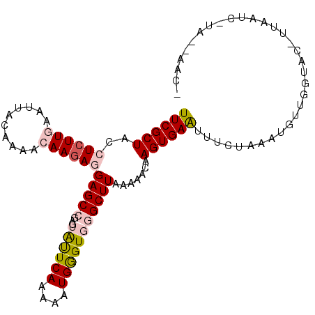 secondary structure