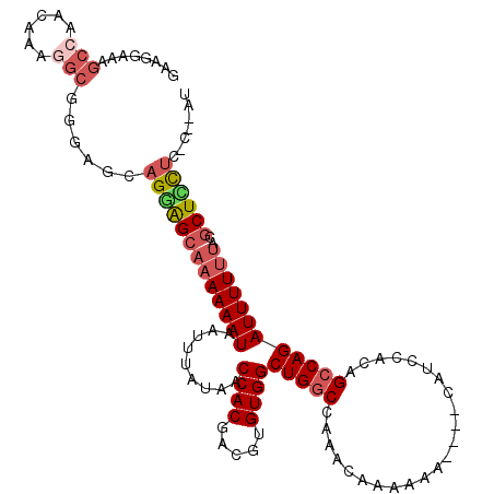 secondary structure