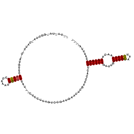 secondary structure