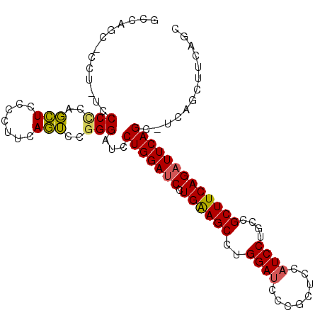 secondary structure