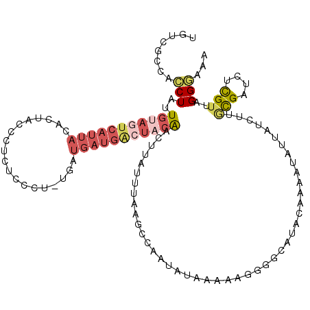 secondary structure