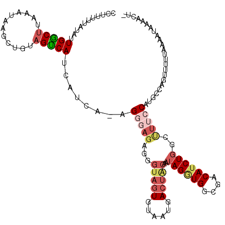 secondary structure