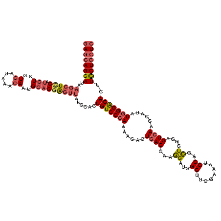secondary structure