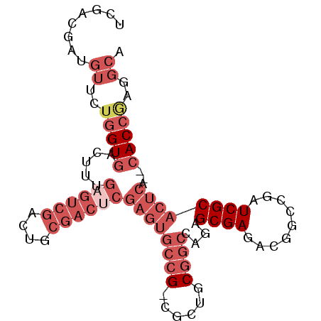 secondary structure