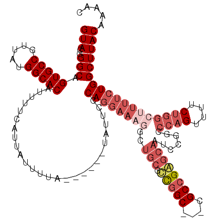 secondary structure