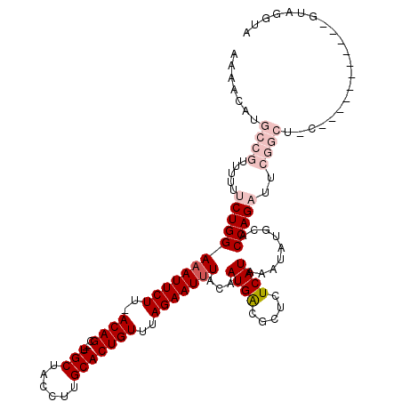 secondary structure