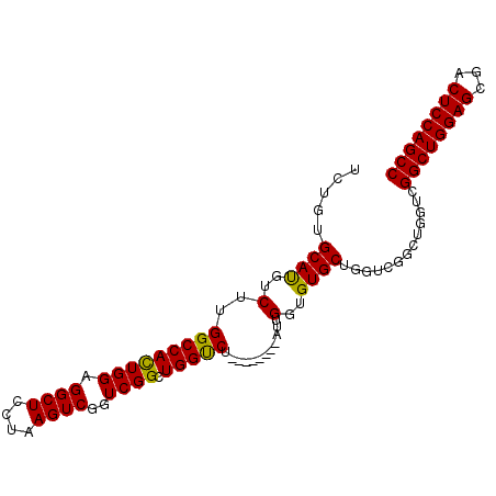 secondary structure