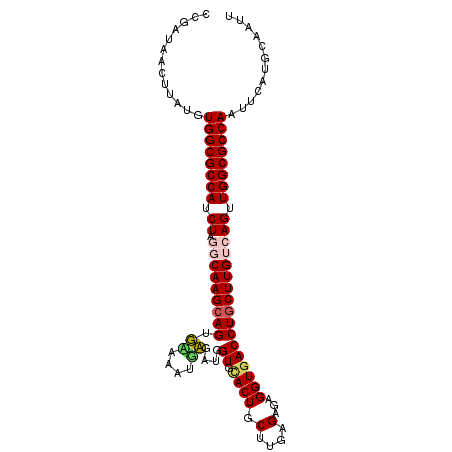 secondary structure