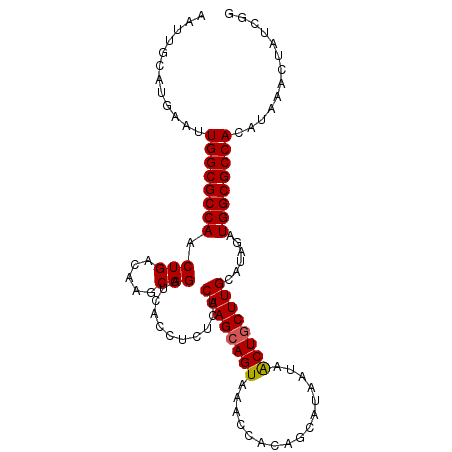 secondary structure