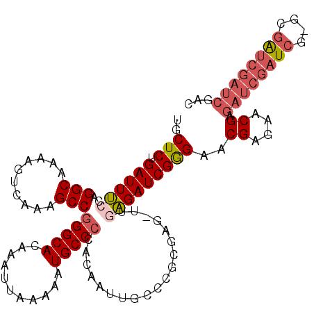 secondary structure