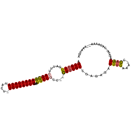 secondary structure