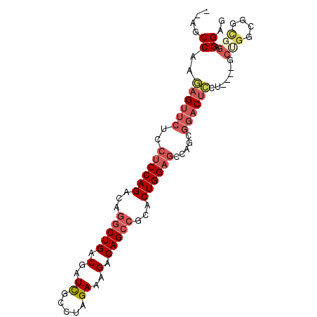 secondary structure