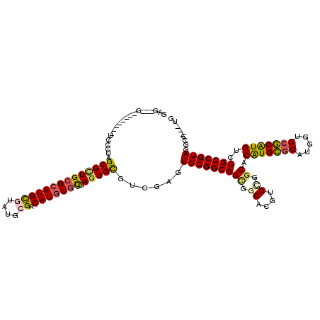 secondary structure