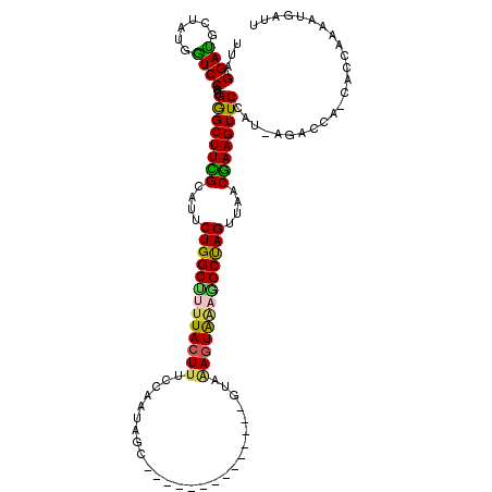 secondary structure