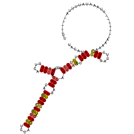 secondary structure