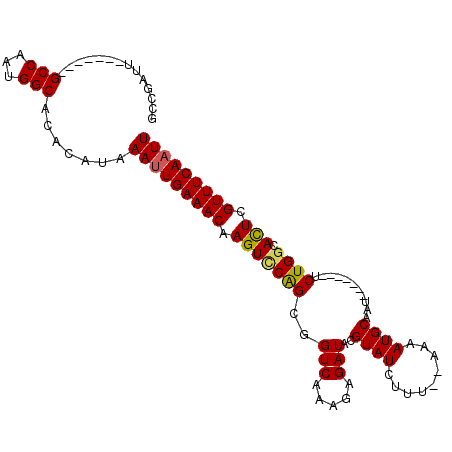 secondary structure