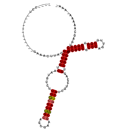 secondary structure