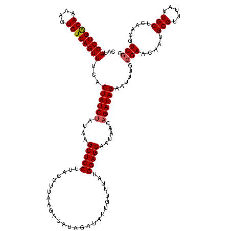 secondary structure