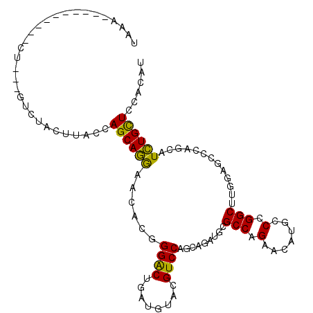 secondary structure