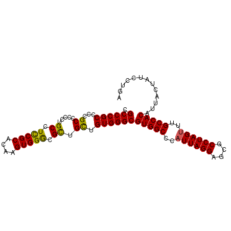 secondary structure