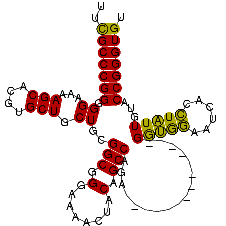 secondary structure