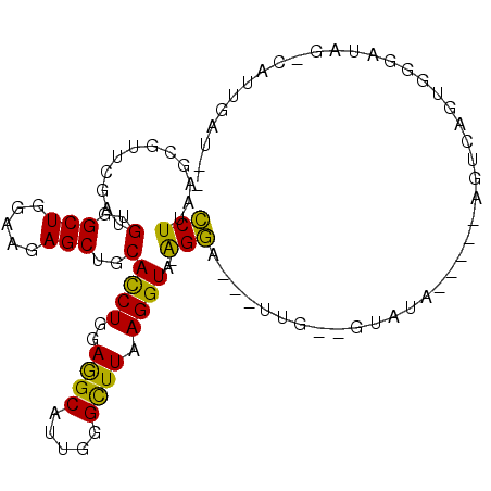 secondary structure
