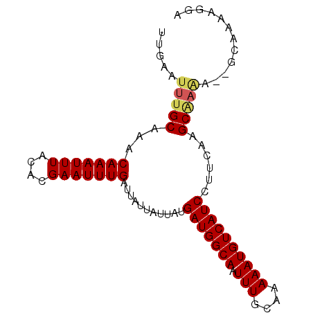secondary structure