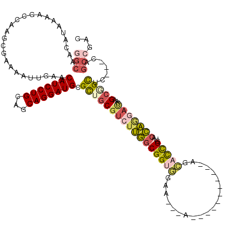 secondary structure
