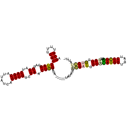 secondary structure