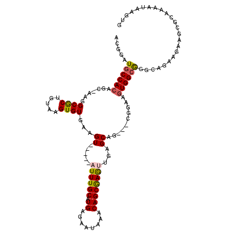 secondary structure
