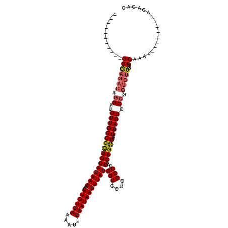 secondary structure