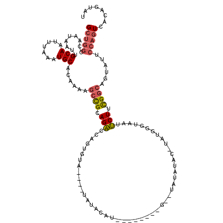 secondary structure