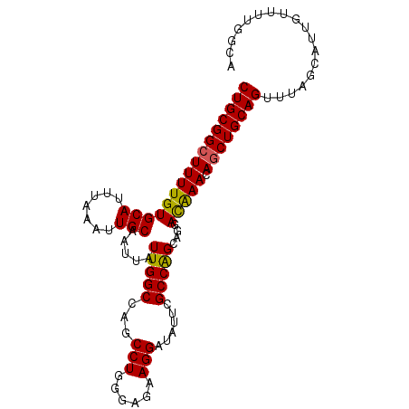 secondary structure