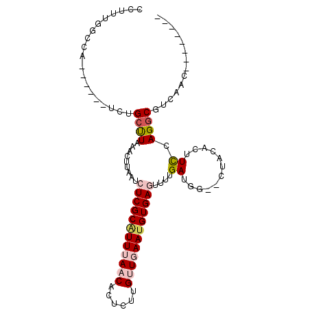 secondary structure