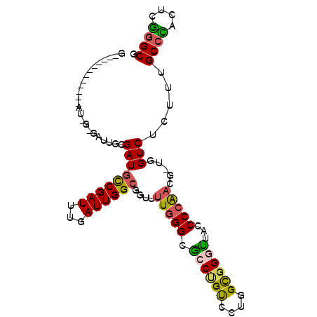 secondary structure