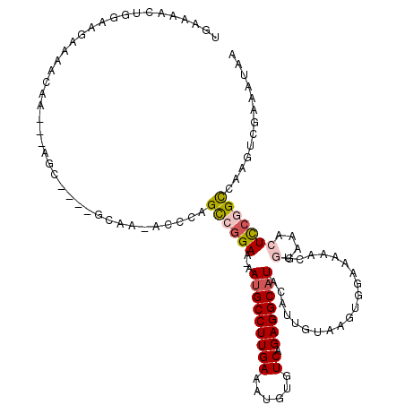 secondary structure